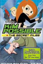 "Kim Possible" Attack of the Killer Bebes
